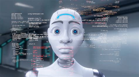 How AI Algorithms Learn from Investor Behavior in Crypto Markets

